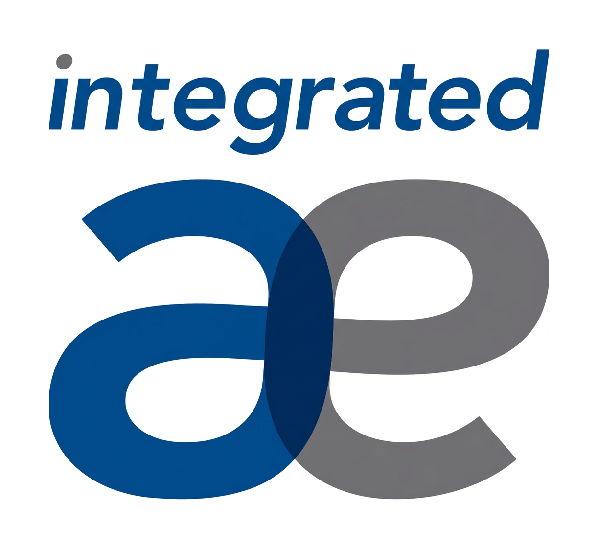 integrated automotive group inc