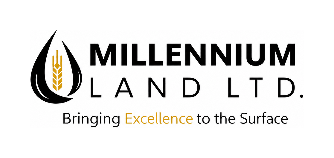 Millennium Land